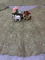 pista colour Heavy Embroidered Lehenga Set with Golden Zari and Sequin Work